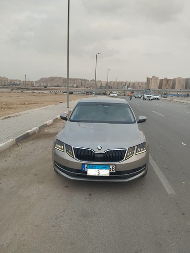 [SO0151] Skoda Octavia A7 2019 1st Category