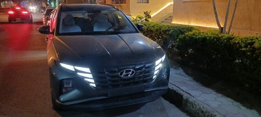 صورة العربية