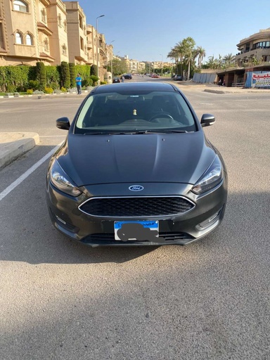 صورة العربية