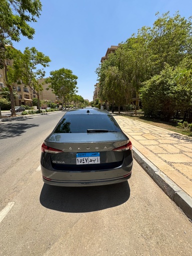 صورة العربية