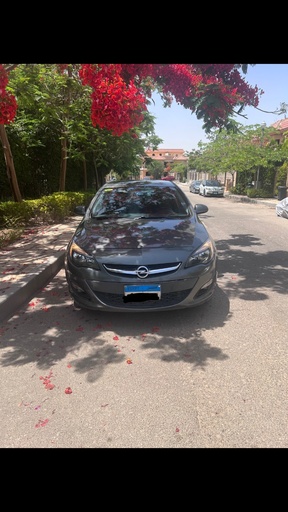 صورة العربية