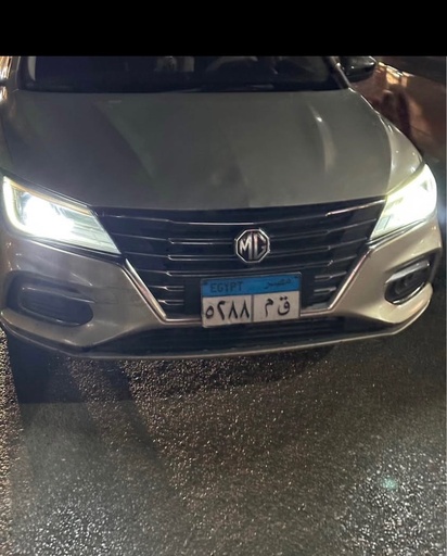 صورة العربية