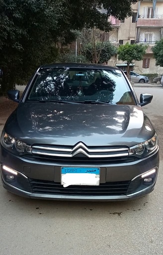 صورة العربية