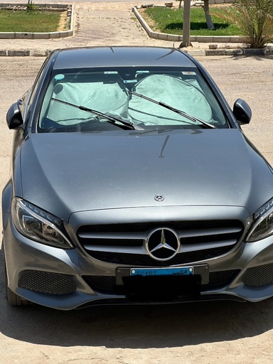 صورة العربية