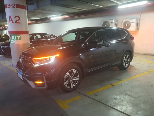 صورة العربية