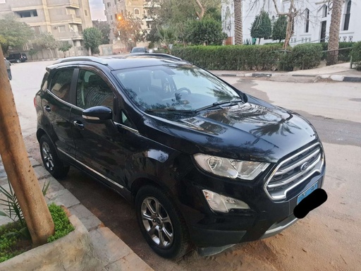 صورة العربية