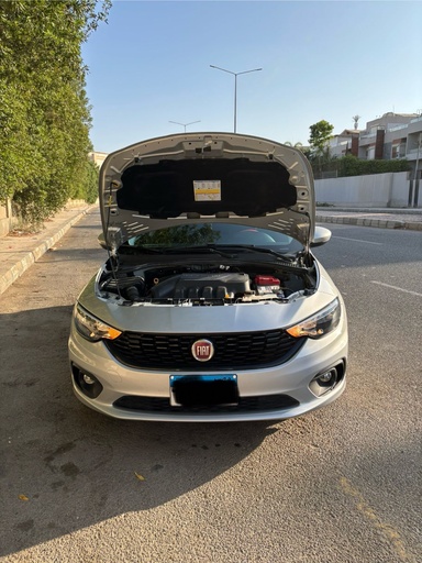 صورة العربية