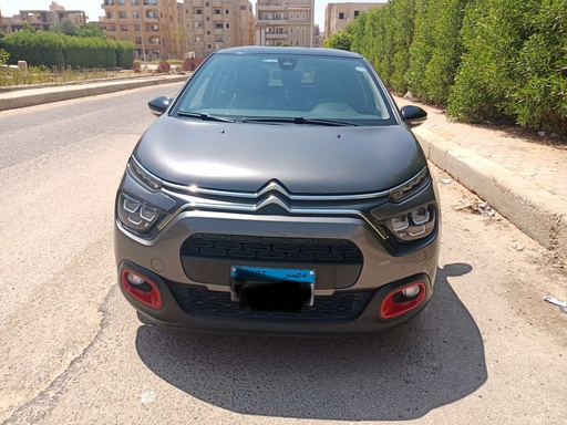 صورة العربية