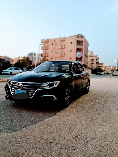 صورة العربية