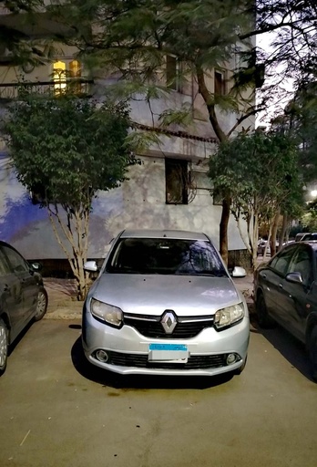 صورة العربية