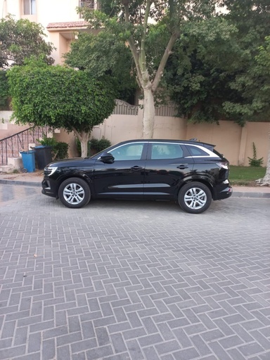 صورة العربية