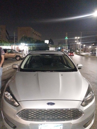 صورة العربية