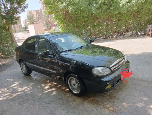 صورة العربية