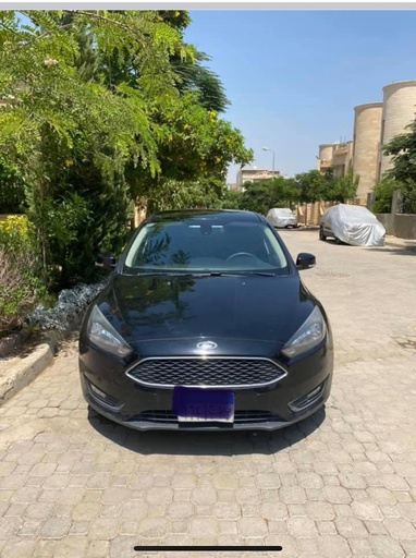 صورة العربية