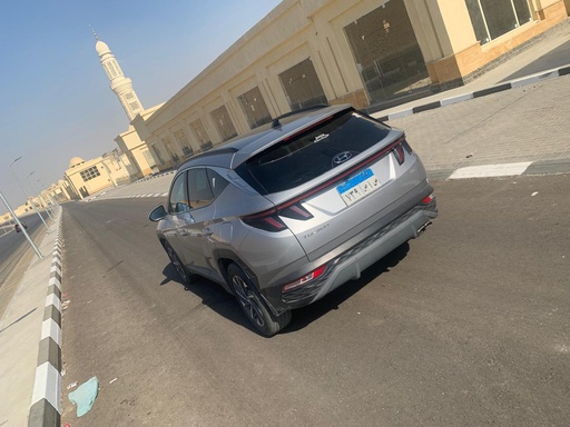 صورة العربية