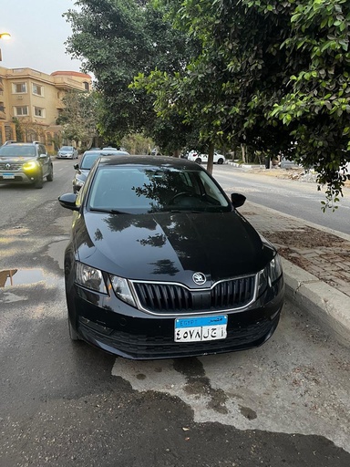 صورة العربية