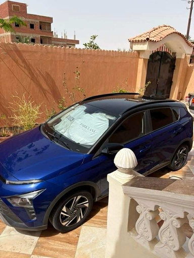 صورة العربية