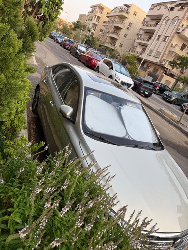 صورة العربية