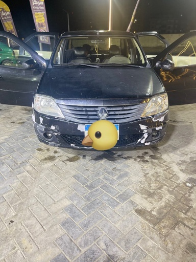 صورة العربية