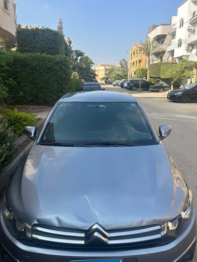 صورة العربية