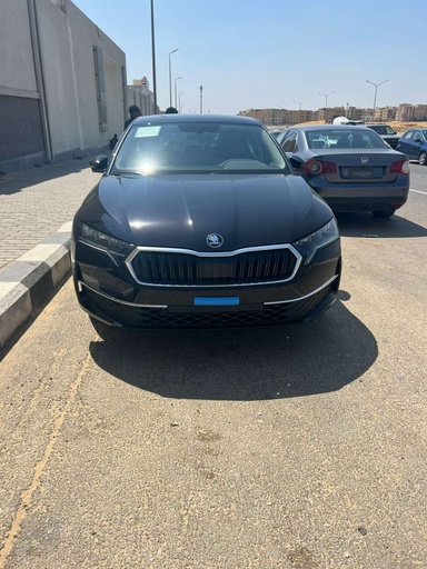 صورة العربية