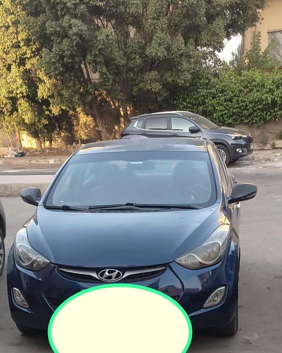 صورة العربية