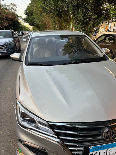 صورة العربية