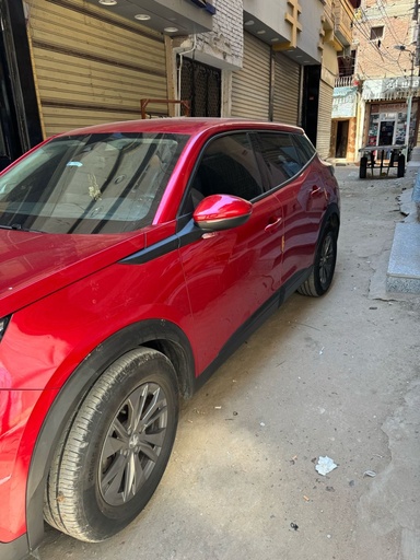 صورة العربية