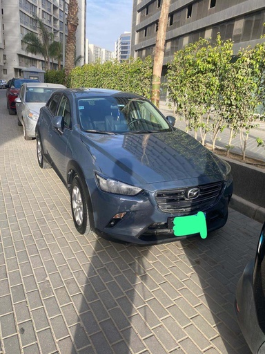 صورة العربية