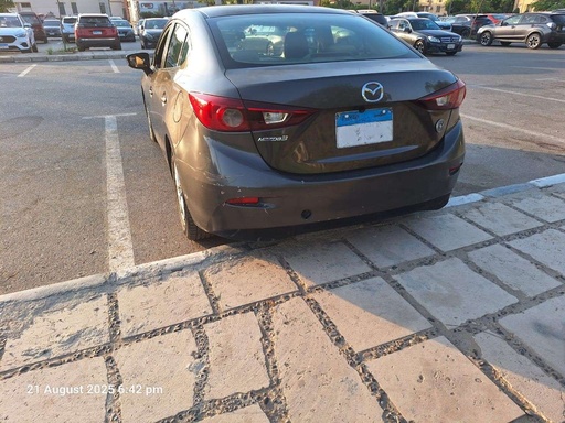 صورة العربية