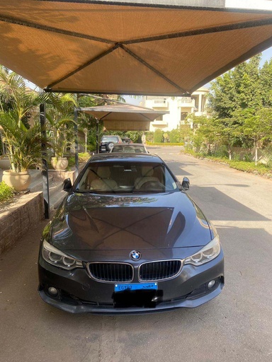 صورة العربية