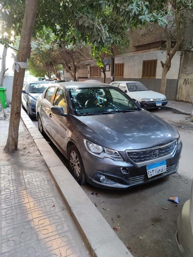 صورة العربية