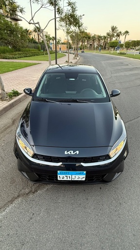 صورة العربية