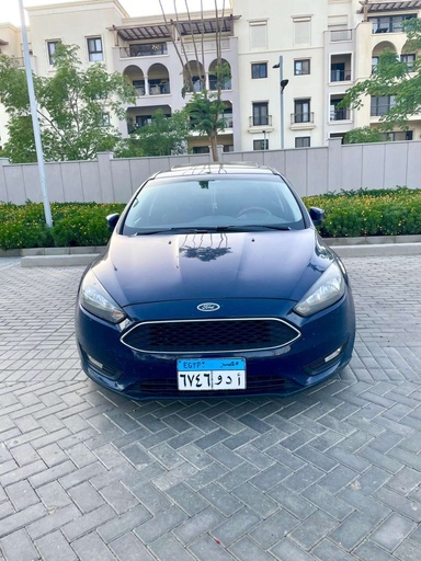 صورة العربية