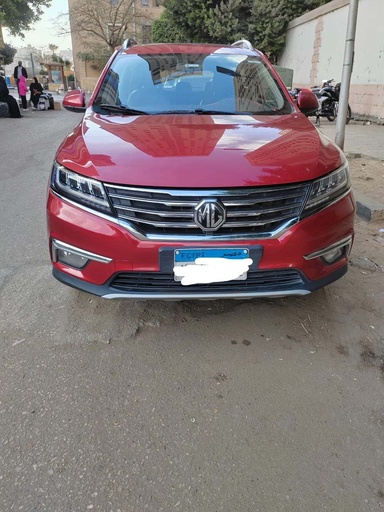 صورة العربية