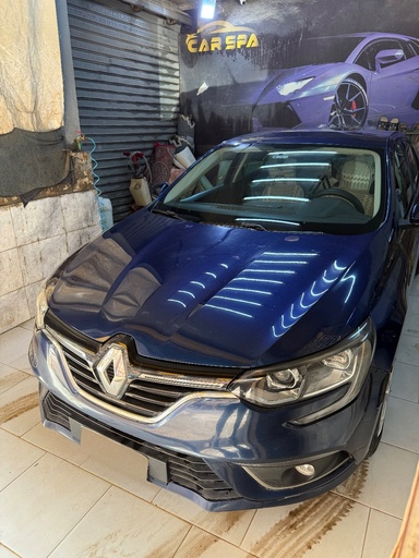 صورة العربية