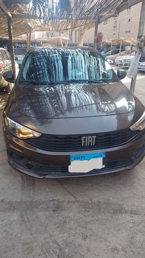 صورة العربية