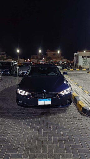 صورة العربية