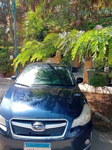 صورة العربية