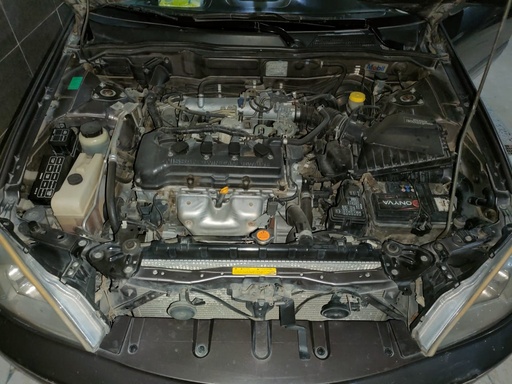 صورة العربية