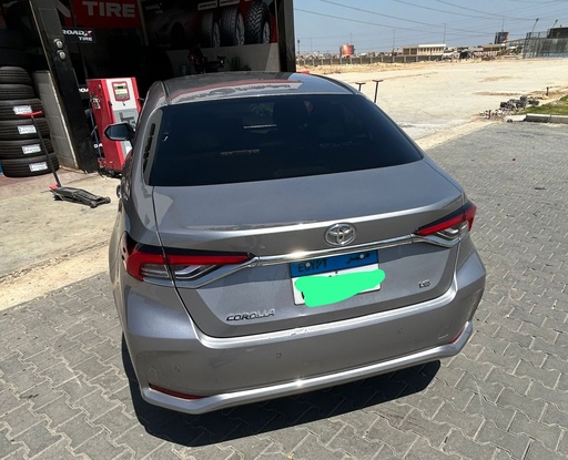 صورة العربية