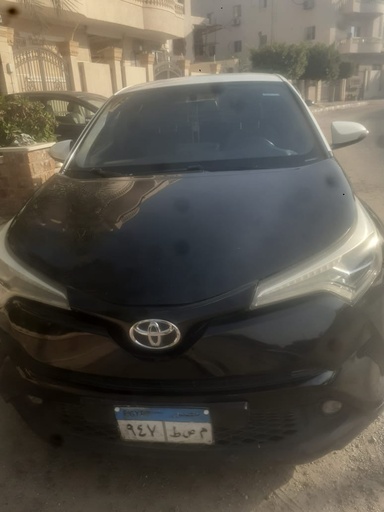 صورة العربية