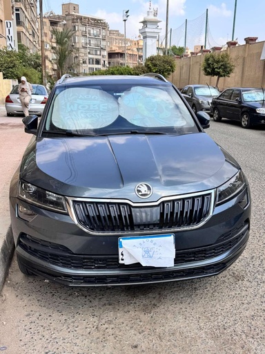 صورة العربية