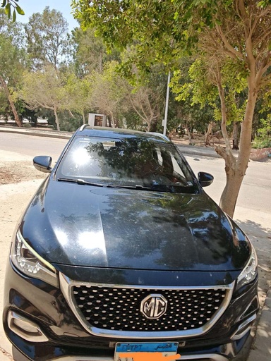 صورة العربية