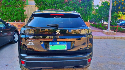 صورة العربية