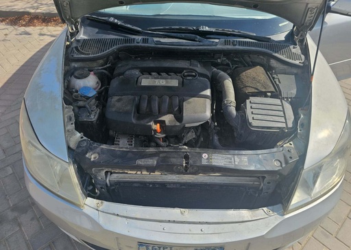 صورة العربية