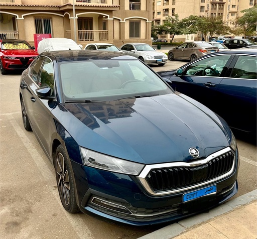 صورة العربية